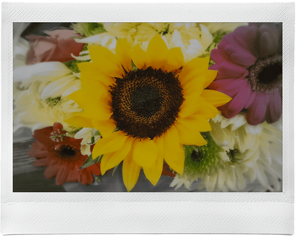 Example: Monochrome Blur