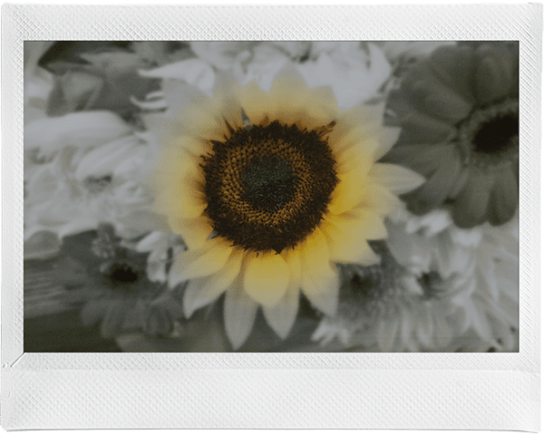 Example: Monochrome Blur